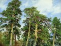 las copas de los pinos paisaje clásico Ivan Ivanovich